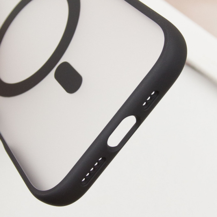 TPU+PC чехол Blueo Skin Friendly Frosted with MagSafe для Apple iPhone 16 Pro (6.3')