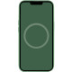 Чохол Silicone case (AAA) with Magsafe and Animation для Apple iPhone 13 Pro  Зелений/Clover