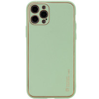 Шкіряний чохол Xshield для Apple iPhone 13 Pro Max Зелений/Pistachio