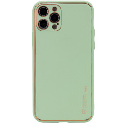 Шкіряний чохол Xshield для Apple iPhone 13 Pro  Зелений/Pistachio  (ITS-L-00000051591_5)