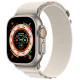 Ремінець Alpine Loop для Apple Watch 42(ser.1-3)/44/45/46/49mm (m/l) Сірий/Starlight
