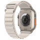 Ремінець Alpine Loop для Apple Watch 42(ser.1-3)/44/45/46/49mm (m/l) Сірий/Starlight
