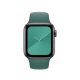 Ремінець Coteetci W3 зелений для Apple Watch 38/40/41 мм