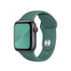 Ремінець Coteetci W3 зелений для Apple Watch 38/40/41 мм