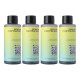 Рідина для освіжувача PETKIT Concentrated Air Purifying Refill-50ml*4