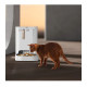 Смарт годівниця PETKIT Yumshare Dual-Hopper with Camera